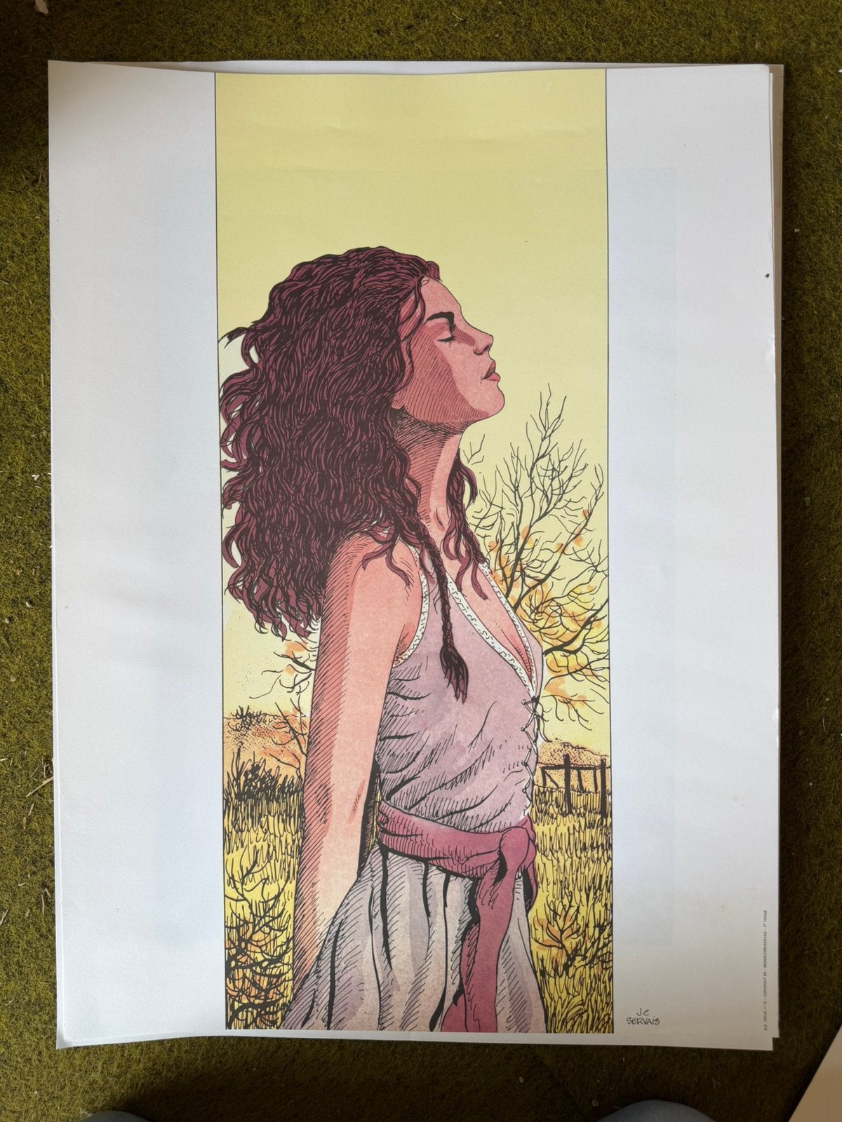Stripliefhebbers opgelet! 4 posters 1 zeefdruk, Boeken, Meerdere stripboeken, Ophalen of Verzenden, Zo goed als nieuw