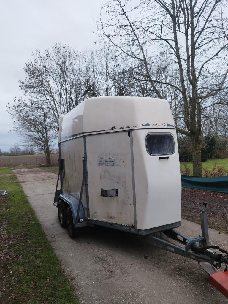 Paardentrailer gezocht voor export / inkoop, Ophalen of Verzenden, Gebruikt