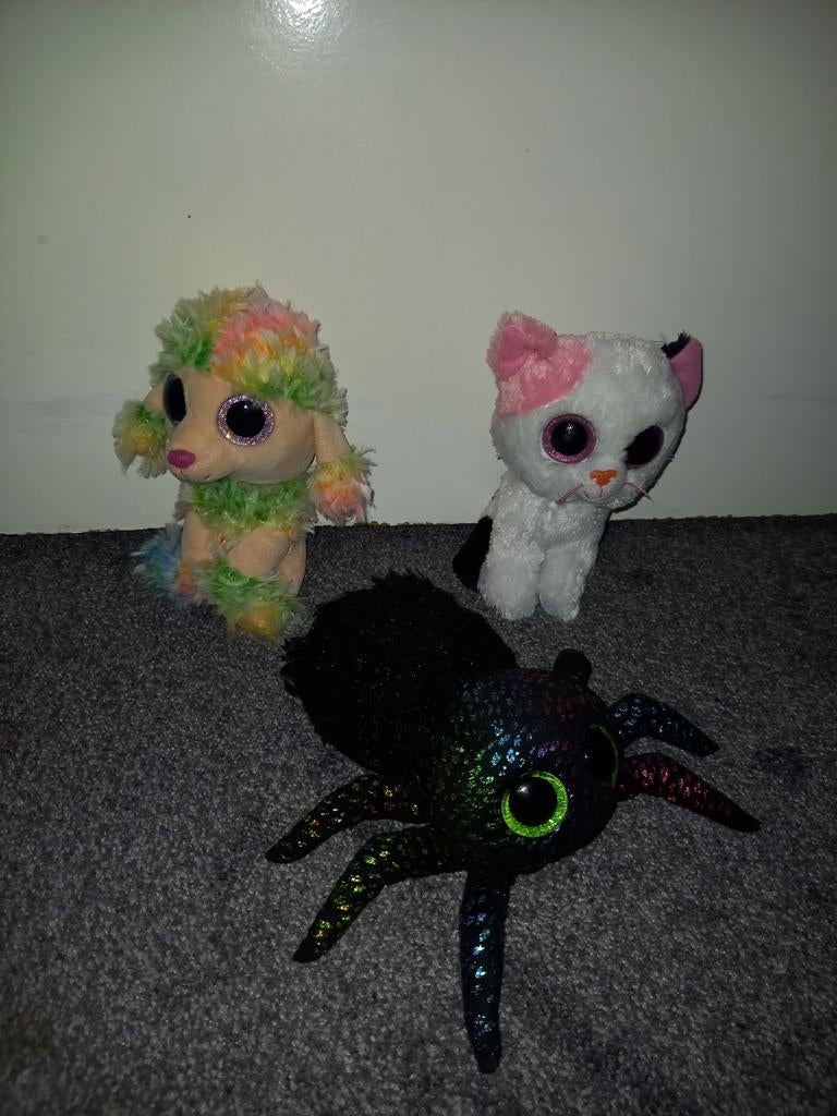 Ty beanie boo Knuffel Spin, Poedel en Kat, Ophalen of Verzenden, Gebruikt, Overige typen