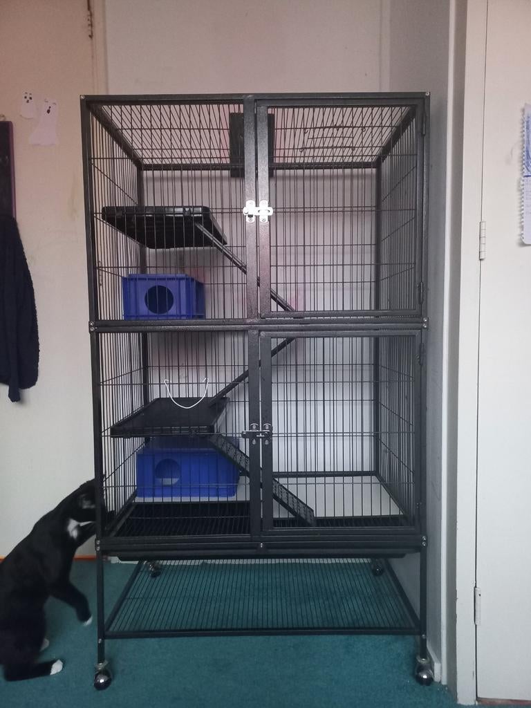 Keddoc ratten of chinchilla verblijf met accessoires., Ophalen, Zo goed als nieuw, Metaal, Overige typen