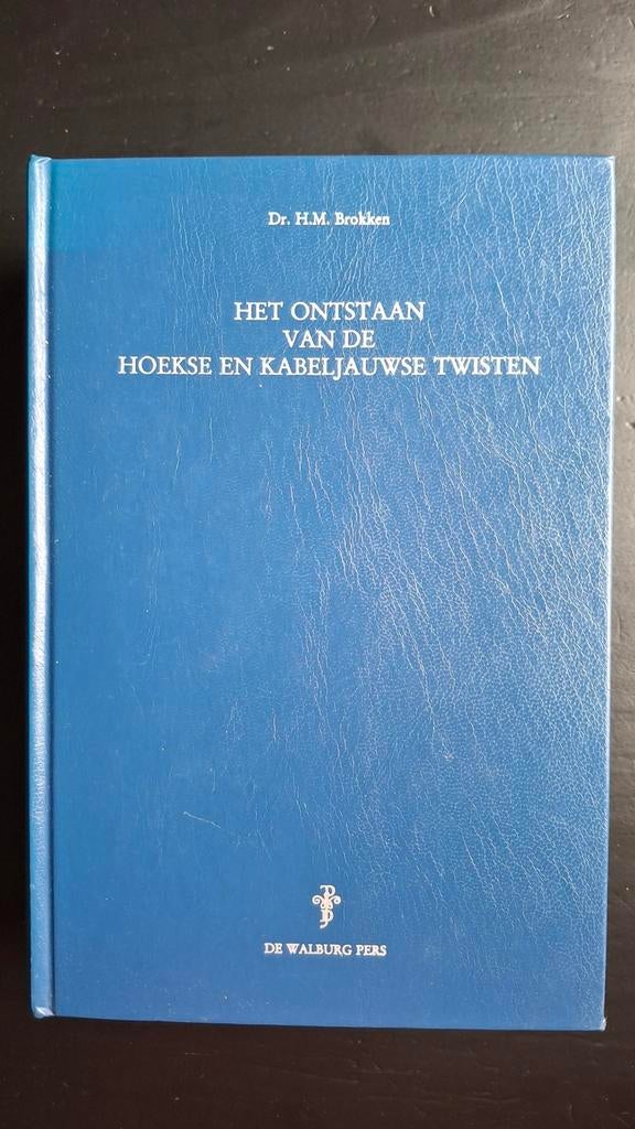 Het ontstaan van de Hoekse en Kabeljauwse twisten (Brokken), Boeken, Geschiedenis | Stad en Regio, Ophalen of Verzenden, Gelezen
