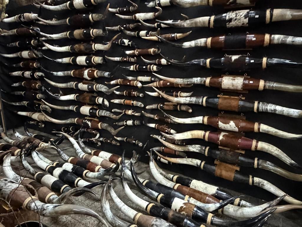 Hoorns longhorn texas mancave bullbar western longhoorn, Ophalen, Nieuw, Wild dier, Gewei of Kop