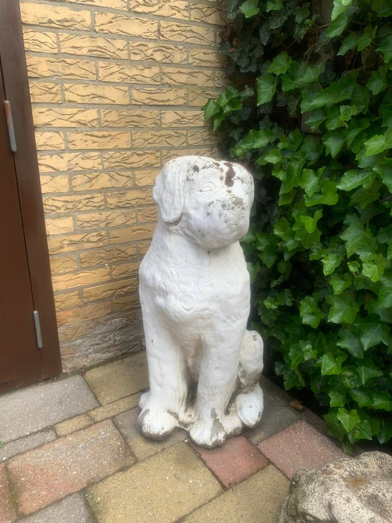 Betonnen Sint Bernard tuinbeeld, Tuin en Terras, Tuinbeelden, Ophalen, Gebruikt, Beton, Dierenbeeld