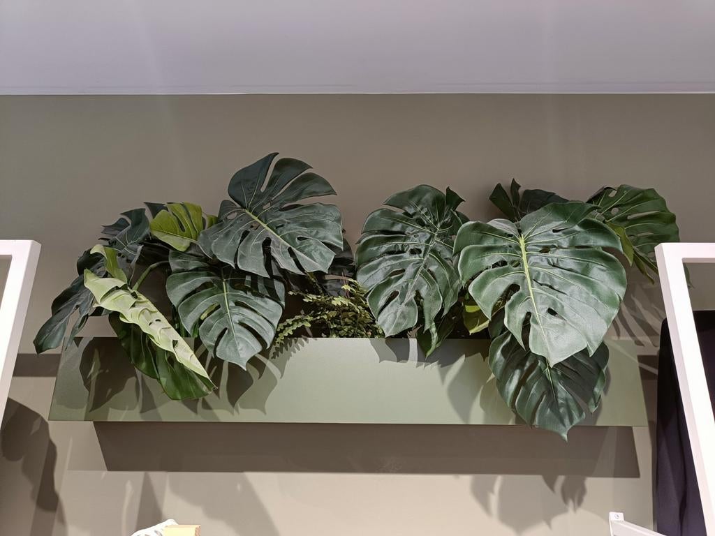 Kunstplanten voor wandmontage, Ophalen