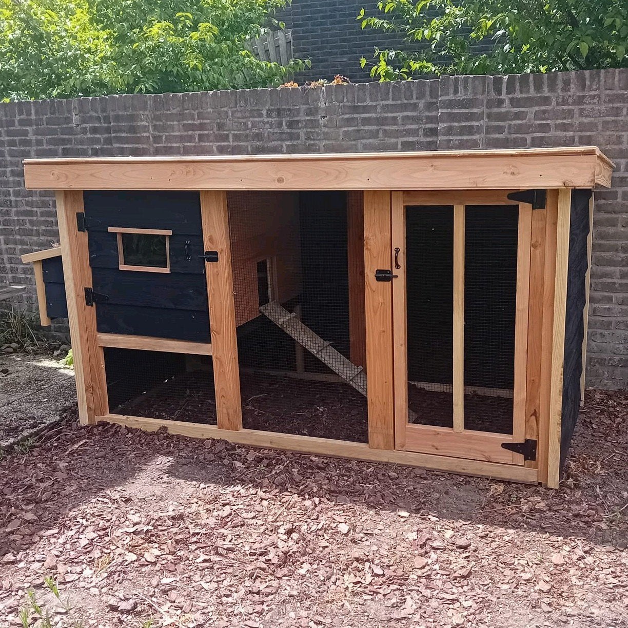 ACTIE Kippenhok Barnevelder Douglas. 230m, Dieren en Toebehoren, Ophalen of Verzenden, Nieuw, Kippenhok of Kippenren