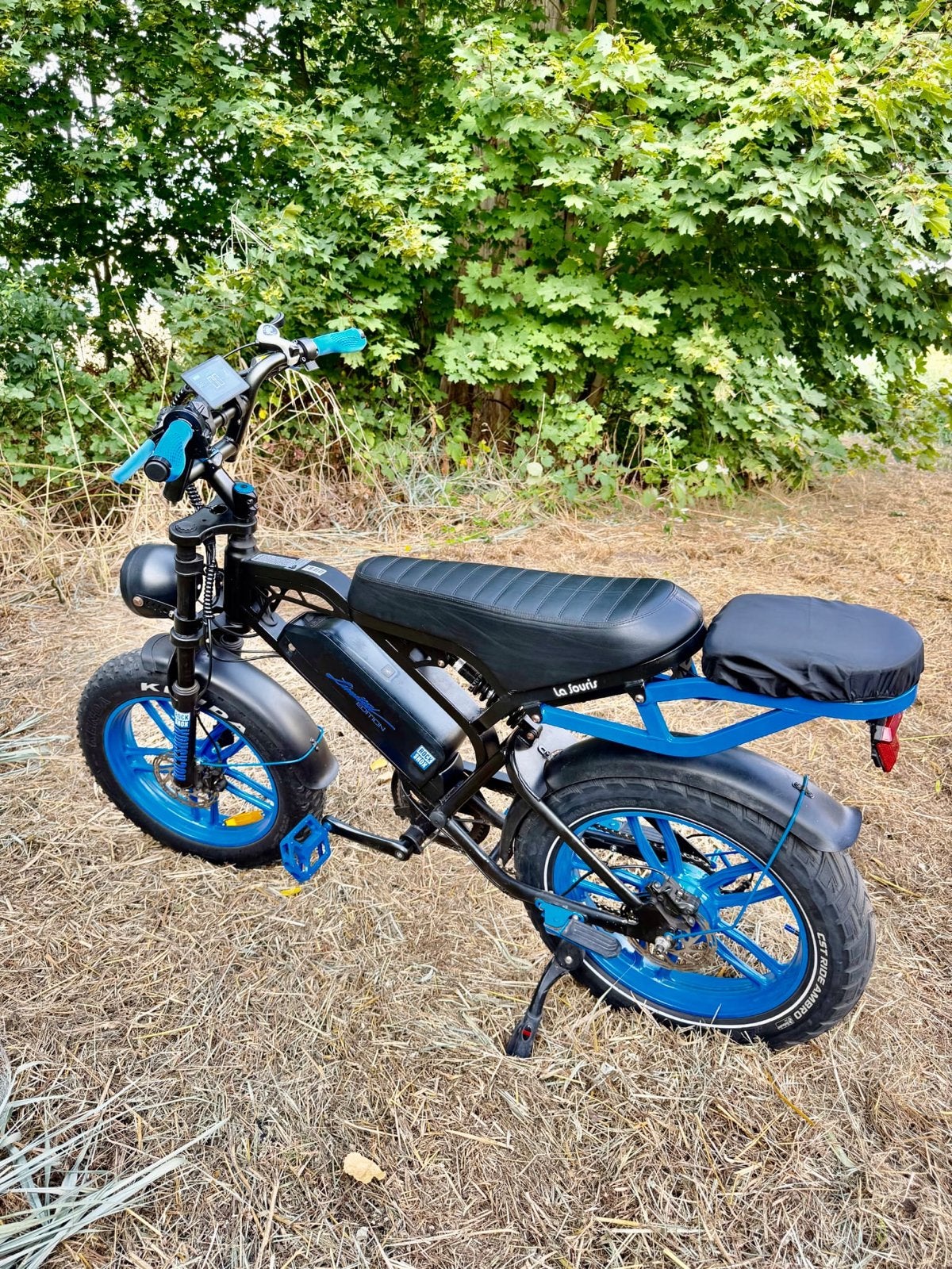 Fatbike V20, Zo goed als nieuw, Minder dan 47 cm, 50 km per accu of meer, Ophalen