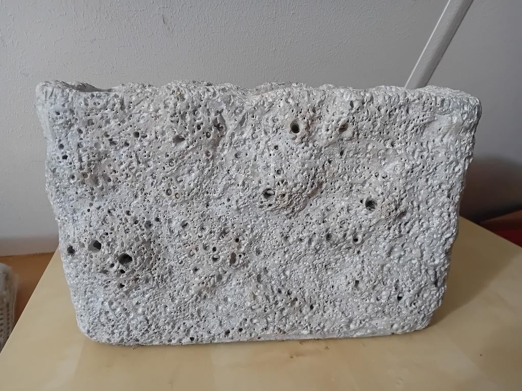 PTMD Bloempot - Robuuste Betonnen Look, Huis en Inrichting, Woonaccessoires | Vazen, Ophalen of Verzenden, Gebruikt, Overige kleuren