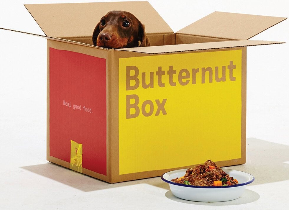 Hondenvoer butternut box, Dieren en Toebehoren, Ophalen, Hond