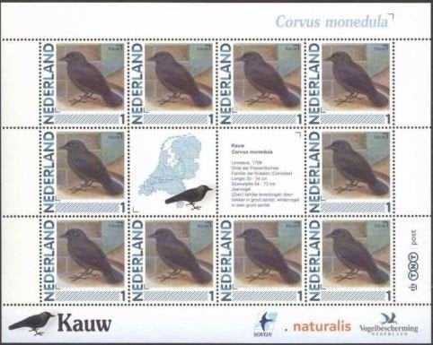 Vogels in Nederland Vel Kauw, Ophalen of Verzenden, Postfris