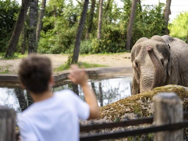 Burgers zoo tickets, Tickets en Kaartjes, Drie personen of meer, Kortingskaart
