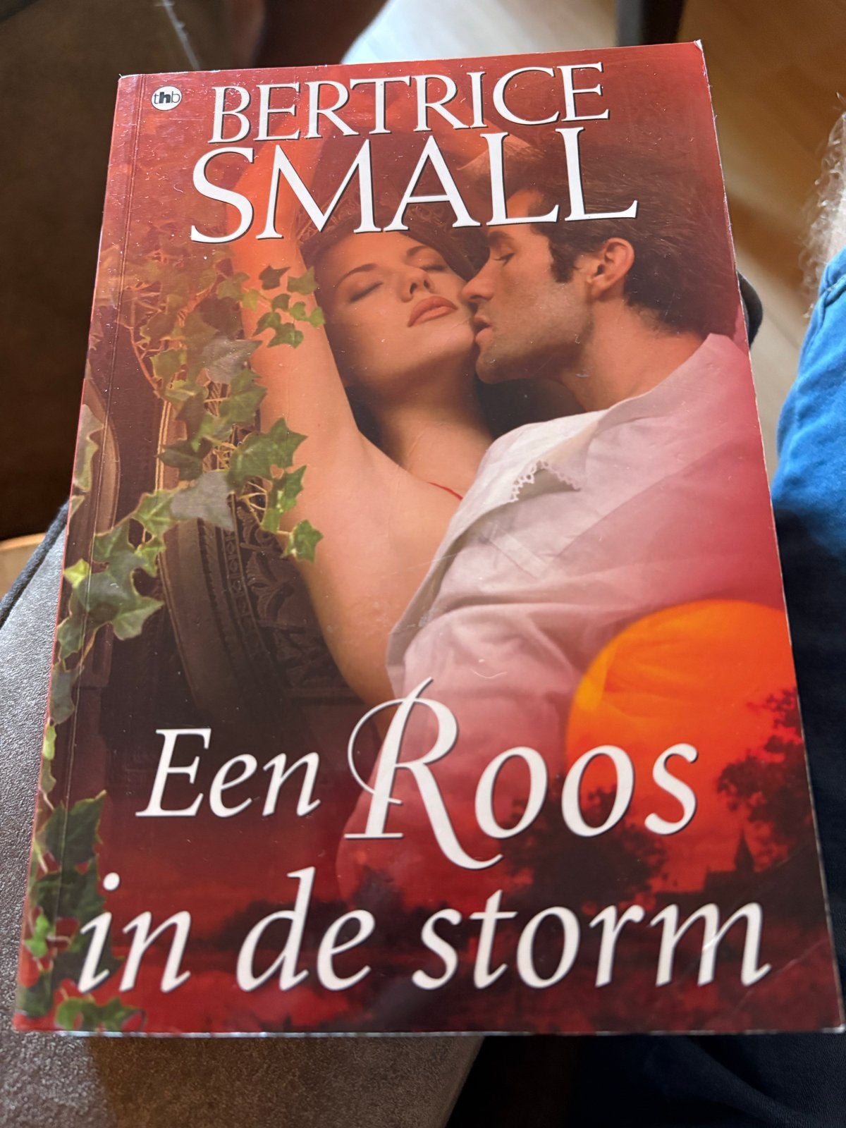 Een Roos in de storm - Bertrice Small, Ophalen of Verzenden, Gelezen, Europa overig