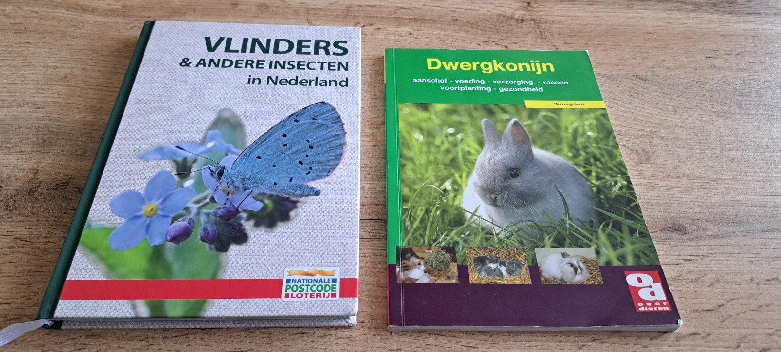 Boeken: Vlinders & andere insecten en Dwergkonijn, Ophalen of Verzenden, Zo goed als nieuw, Konijnen of Knaagdieren, Diverse auteurs