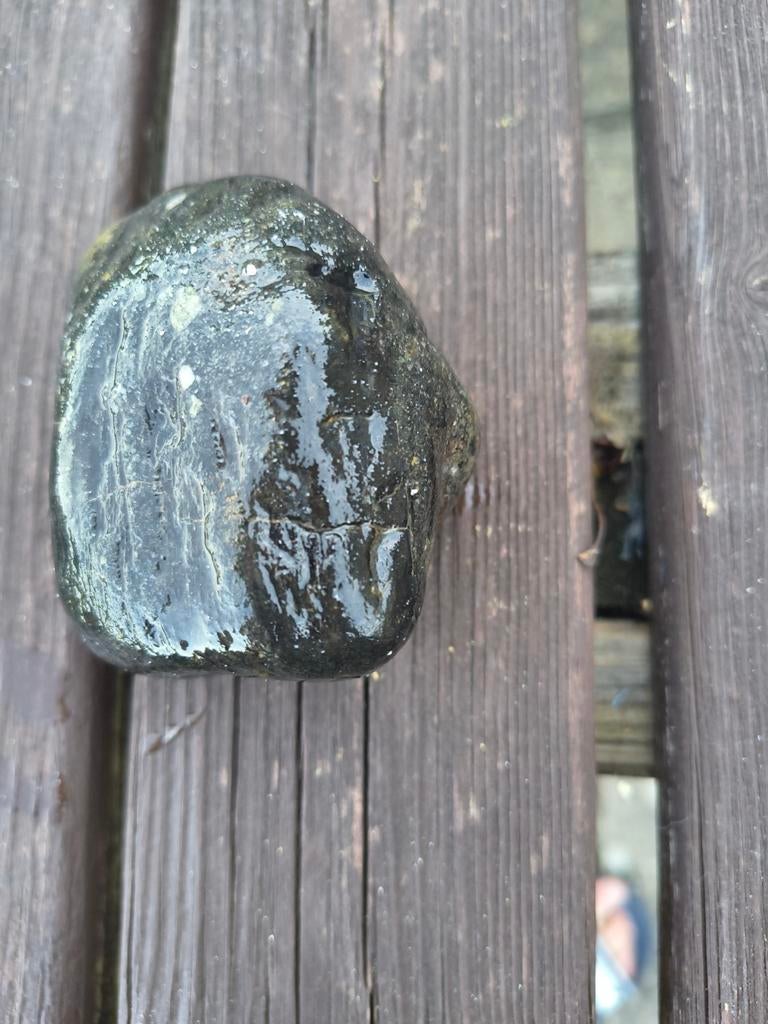 Gefossiliseerd houtfossiel van Isle of Wight - Handpalmgroot, Ophalen of Verzenden, Fossiel