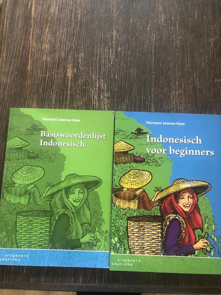 Indonesisch voor beginners + Basiswoordenlijst Indonesisch, Ophalen of Verzenden, Zo goed als nieuw, Non-fictie