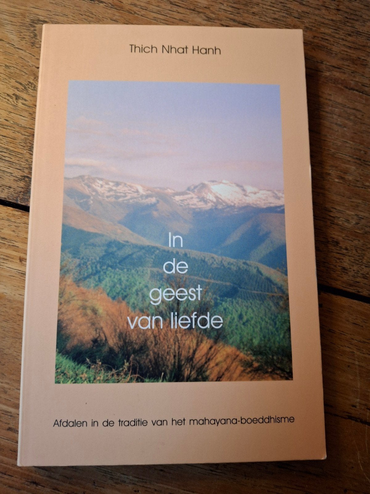Thich Nhat Hanh - In de geest van liefde, Achtergrond en Informatie, Spiritualiteit algemeen, Thich Nhat Hanh, Ophalen of Verzenden