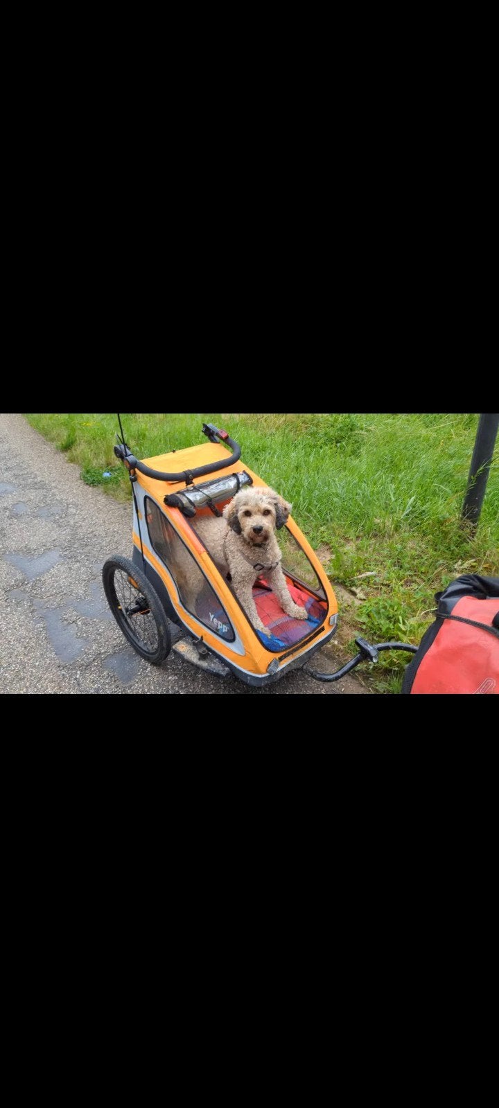 Yepp Hondenkar/Kinderkar - Lichte gebruikersschade, Fietsen en Brommers, Fietsaccessoires | Aanhangers en Karren, Ophalen, Gebruikt