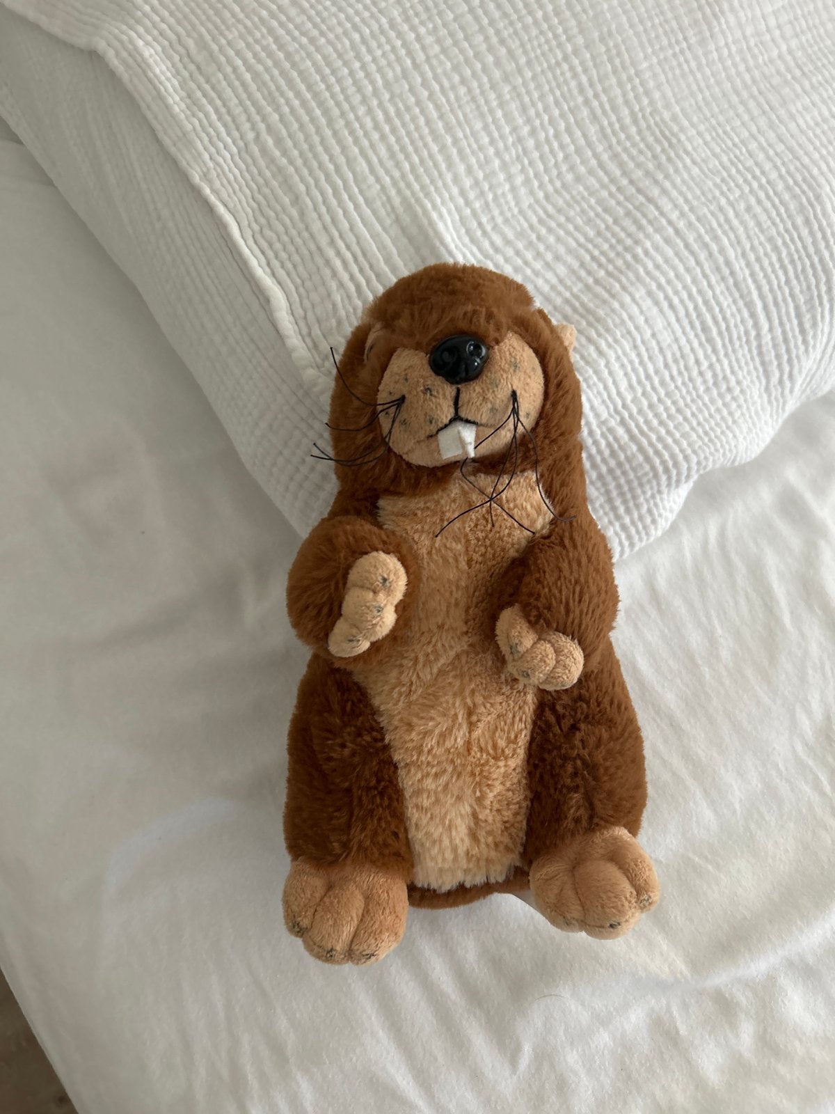 Leuke bever knuffel - zo goed als nieuw, Overige merken, Overige karakters, Overige typen, Ophalen of Verzenden