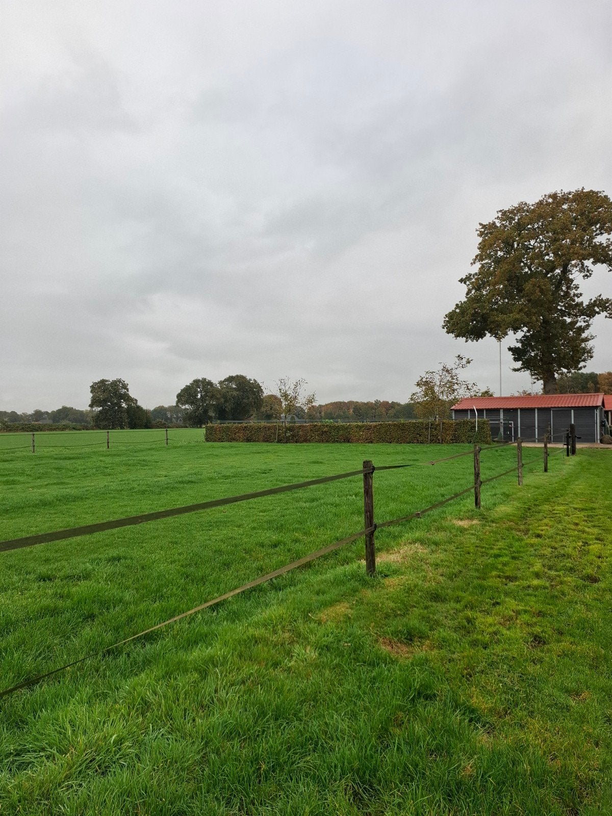 Kleinschalige paarden ponny pension, Dieren en Toebehoren, Stalling en Weidegang