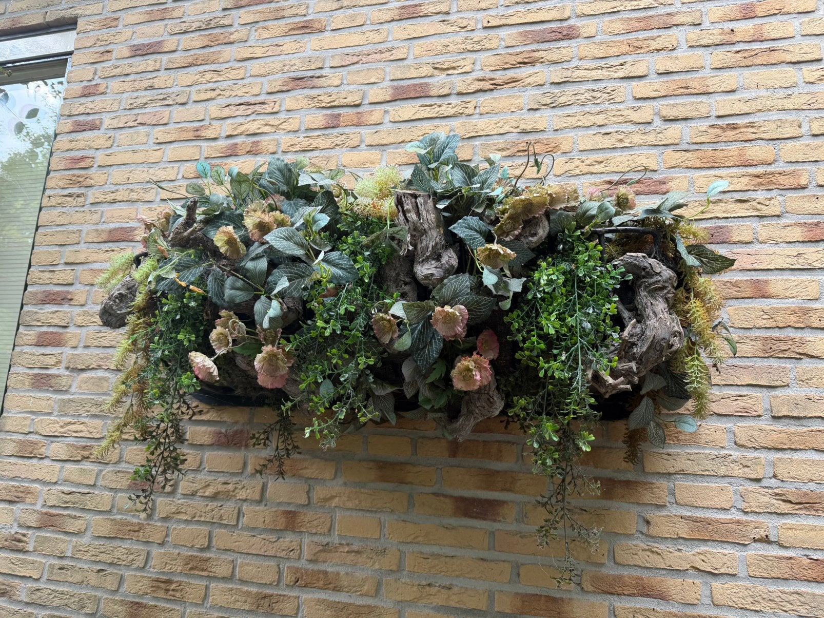 Kunstplanten, Ophalen, Overige soorten, Volle zon