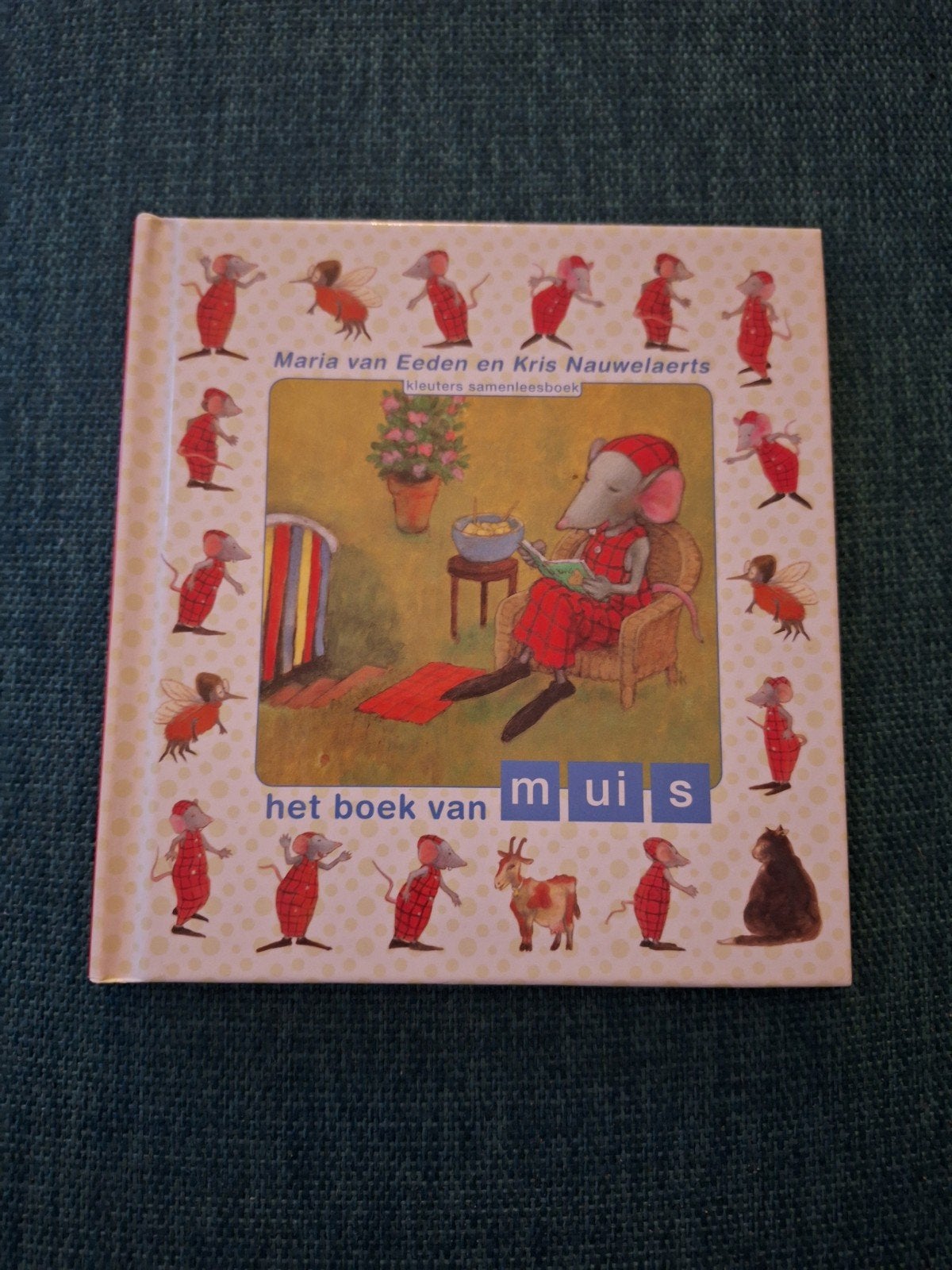 Het boek van Muis - Kleuters samenleesboek, Ophalen of Verzenden