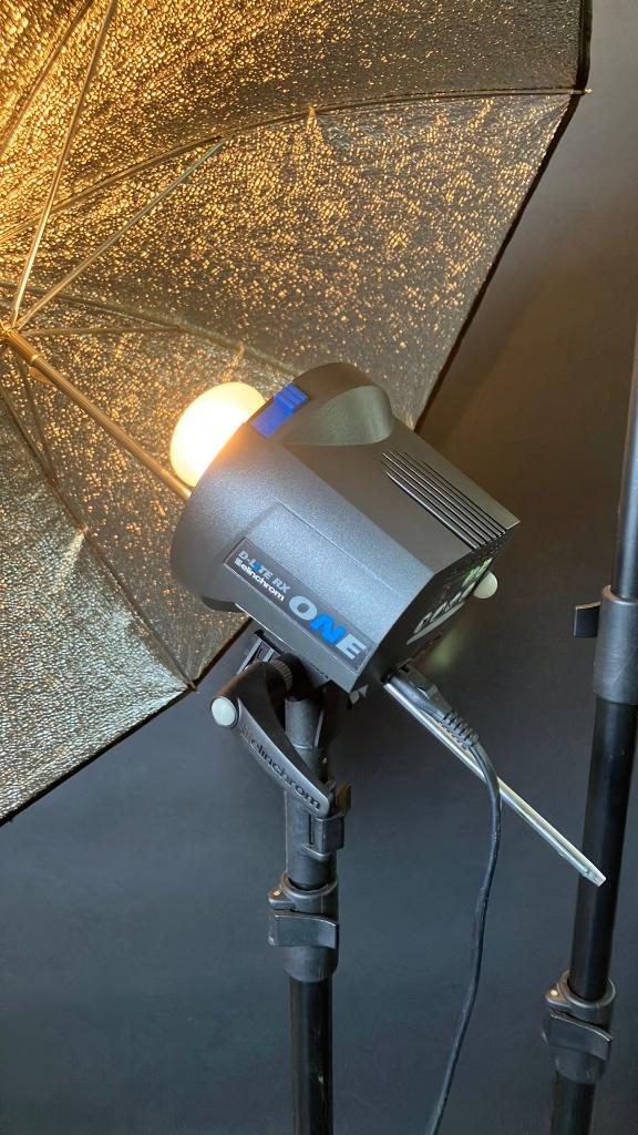 Elinchrom d-lite rx flitsers 2/2, 1/1, 2/4, Ophalen of Verzenden, Gebruikt, Overige merken, Kantelbaar