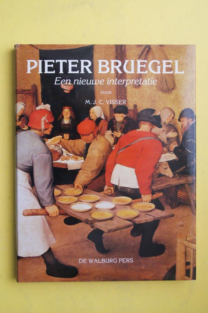Visser, Pieter Bruegel een nieuwe interpretatie, Boeken, Kunst en Cultuur | Beeldend, Ophalen of Verzenden, Nieuw