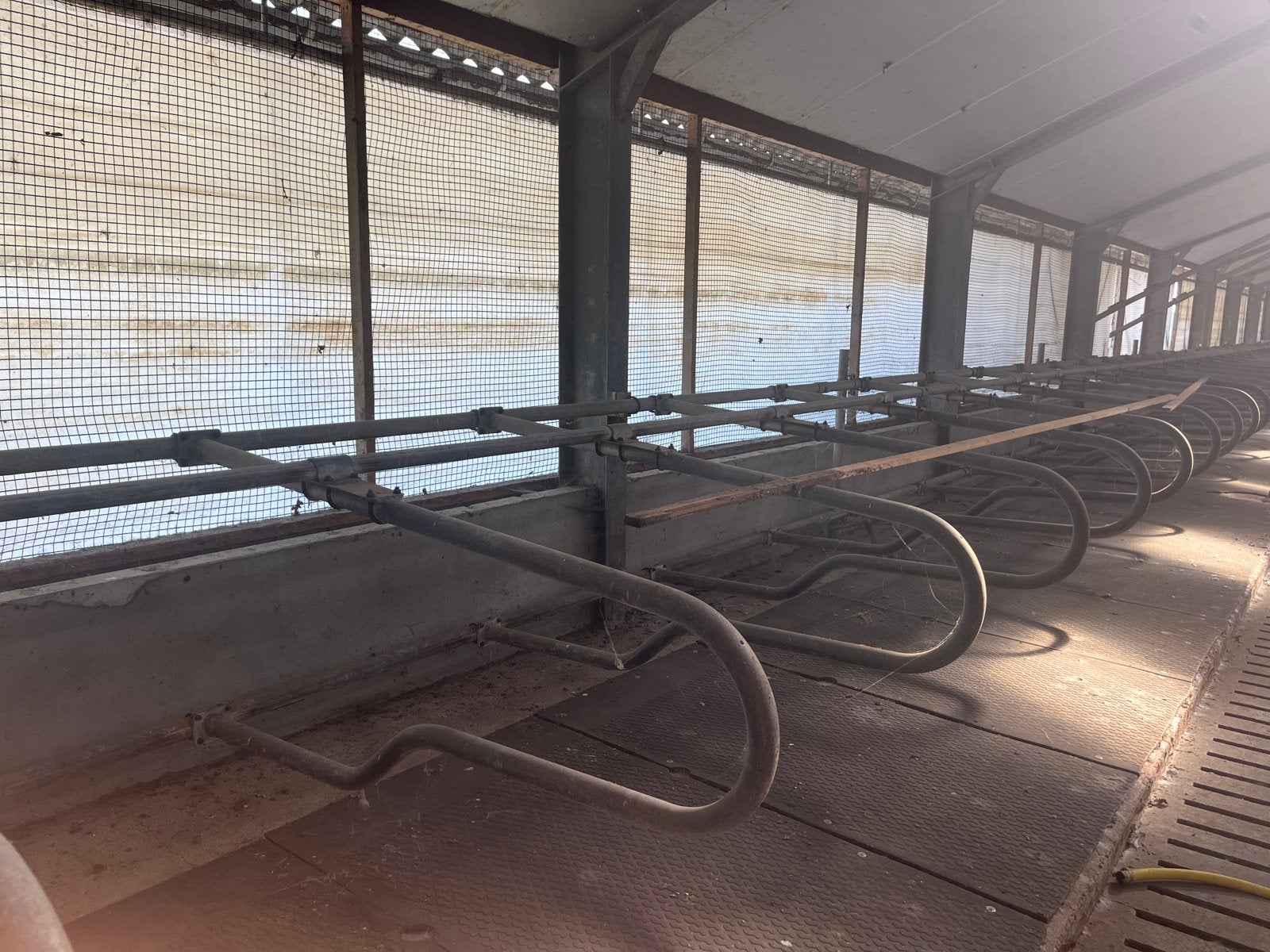 Stalinrichting: Voerhekken, ligboxen en ventilatoren