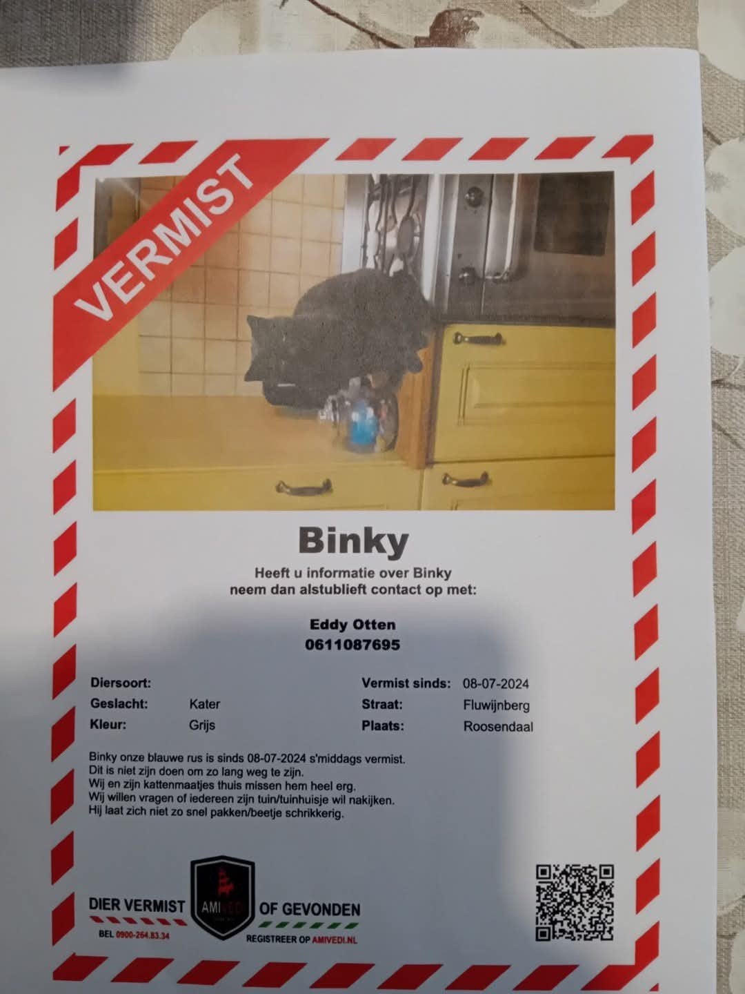 Vermissing kat Binky, Dieren en Toebehoren, Vermiste en Gevonden Dieren, Kat