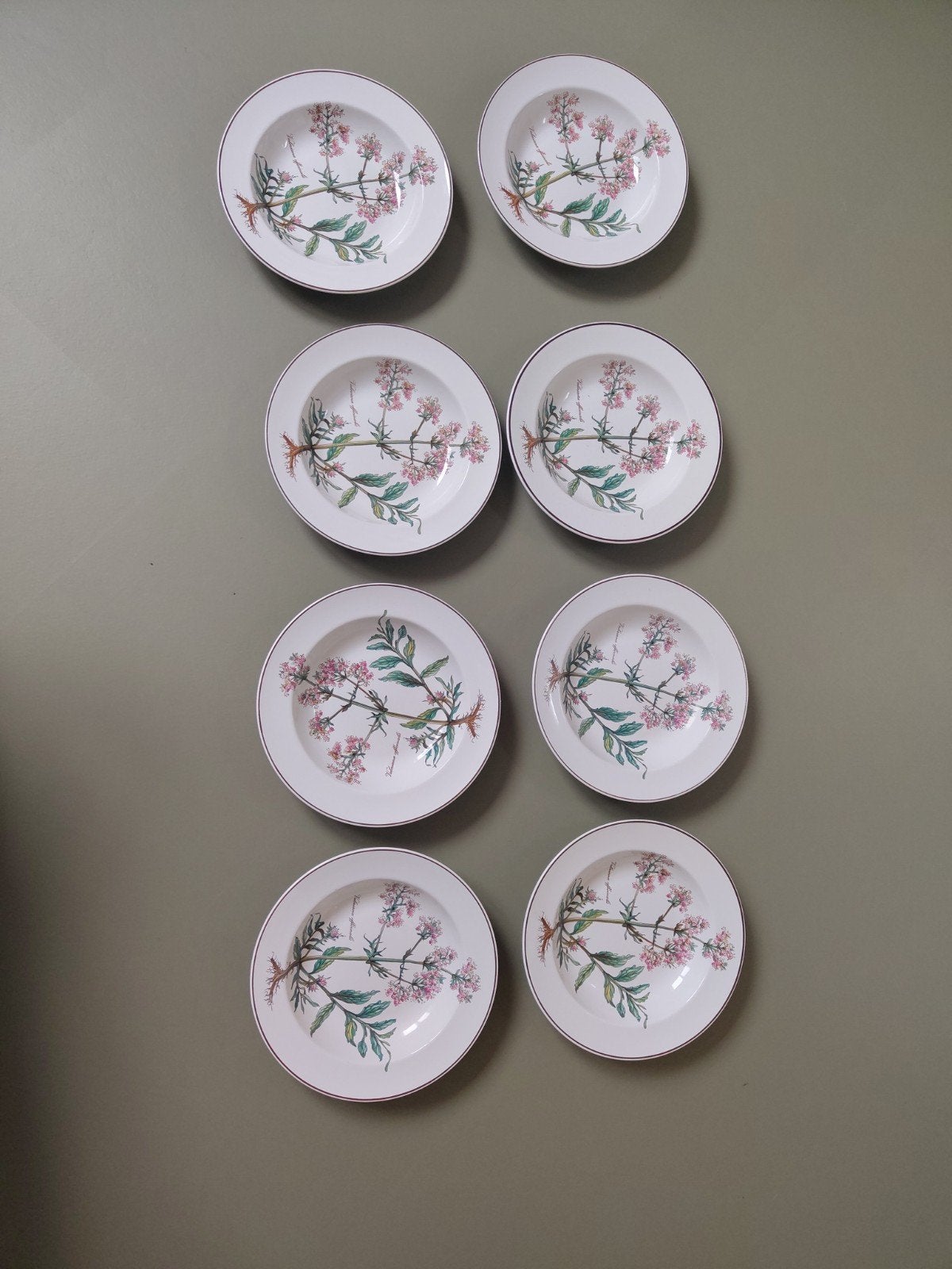 pastaborden Villeroy en Boch botanica 8 stuks, Huis en Inrichting, Ophalen of Verzenden