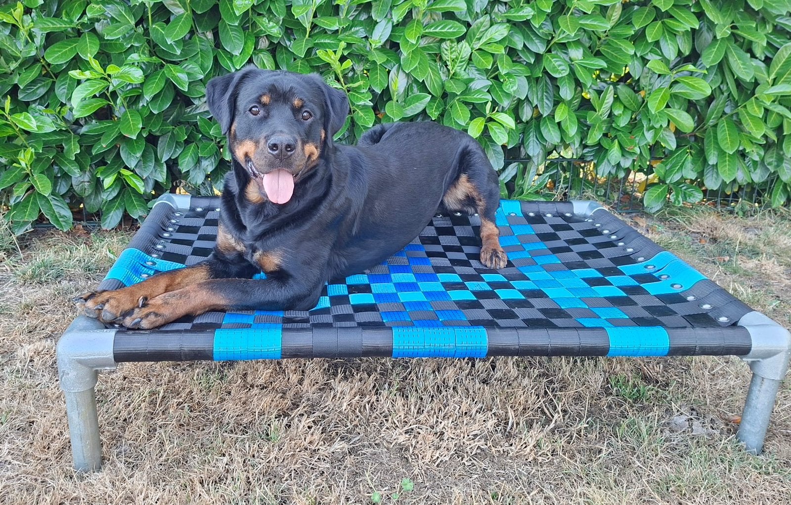 Hondenmand ✅ hondenkussen hondenstretcher hondenbed bench, Ophalen of Verzenden, Nieuw, Overige