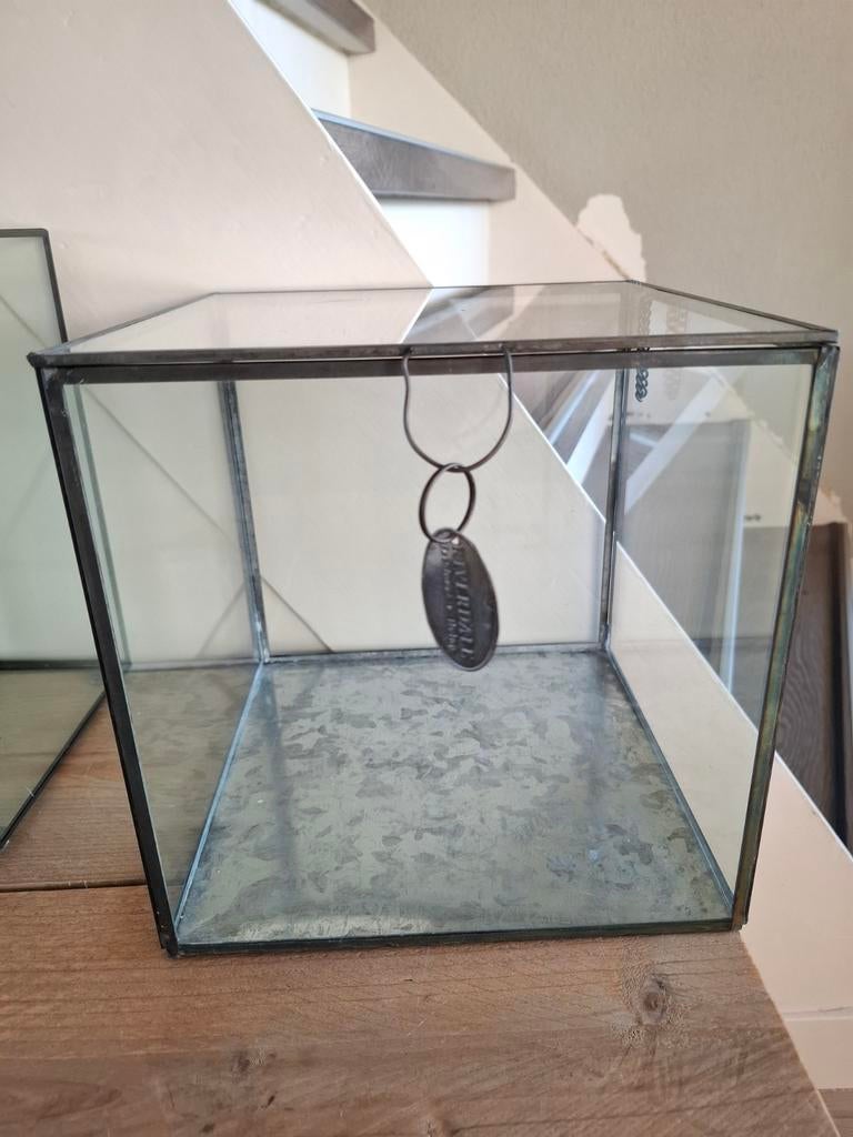 Riverdale glazen display box met metalen bodem, Ophalen, Zo goed als nieuw, Glas, Industrieel