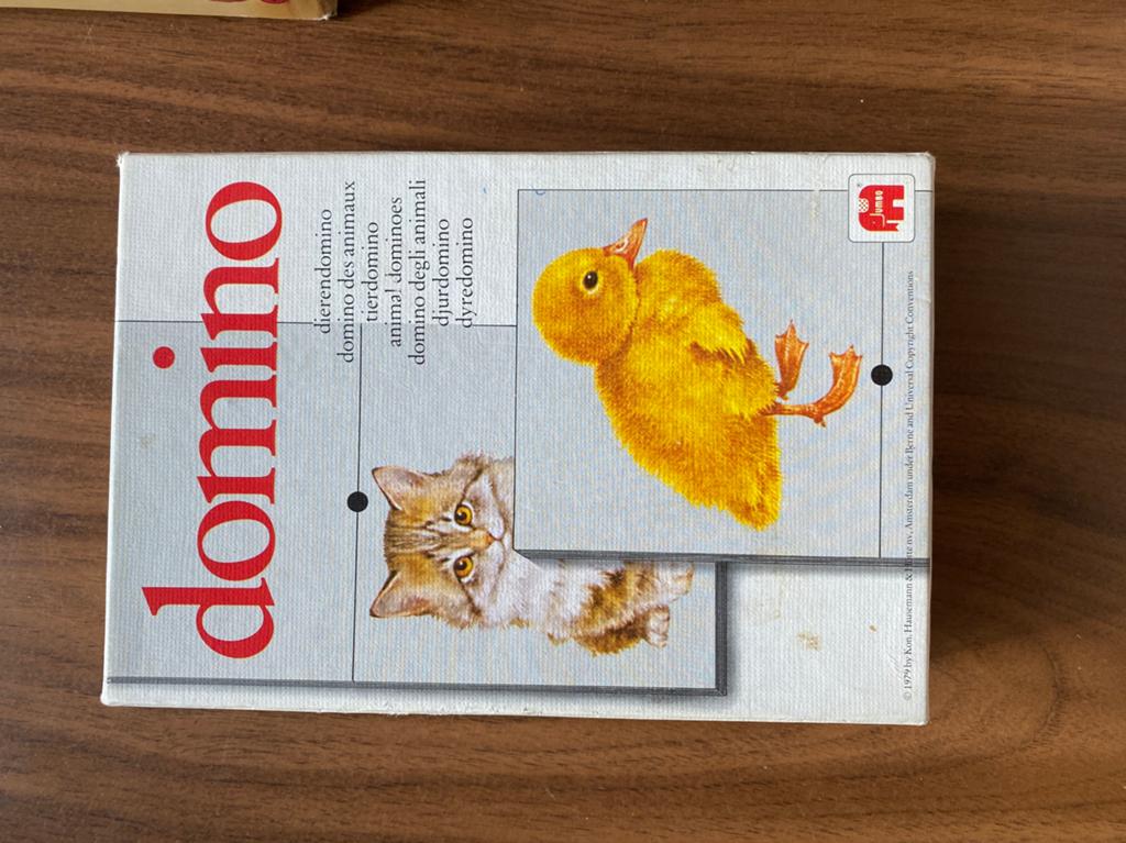Domino, Ophalen of Verzenden, Gebruikt