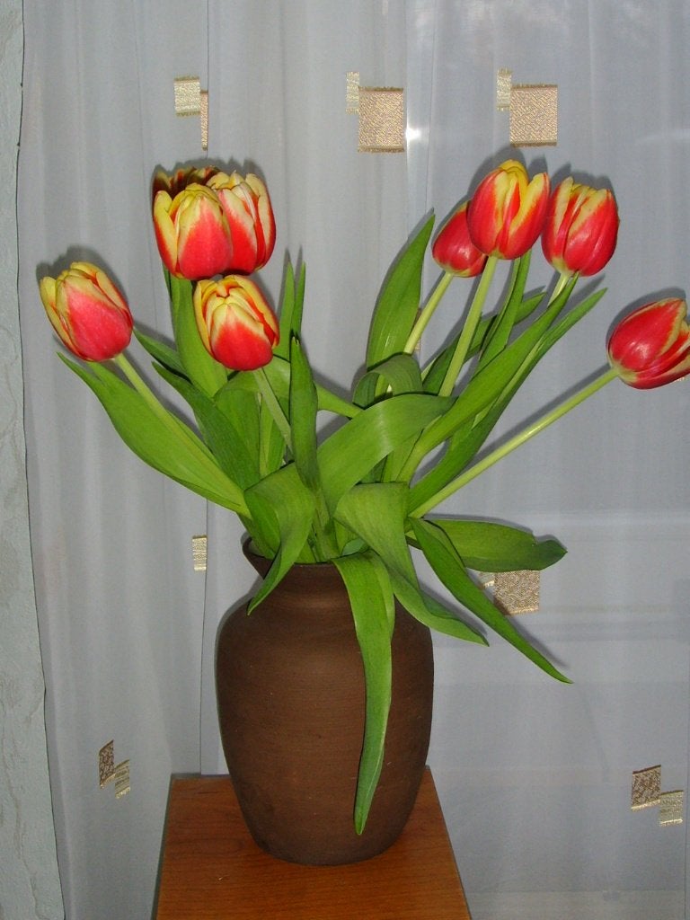 Keramiek pot., Ophalen of Verzenden
