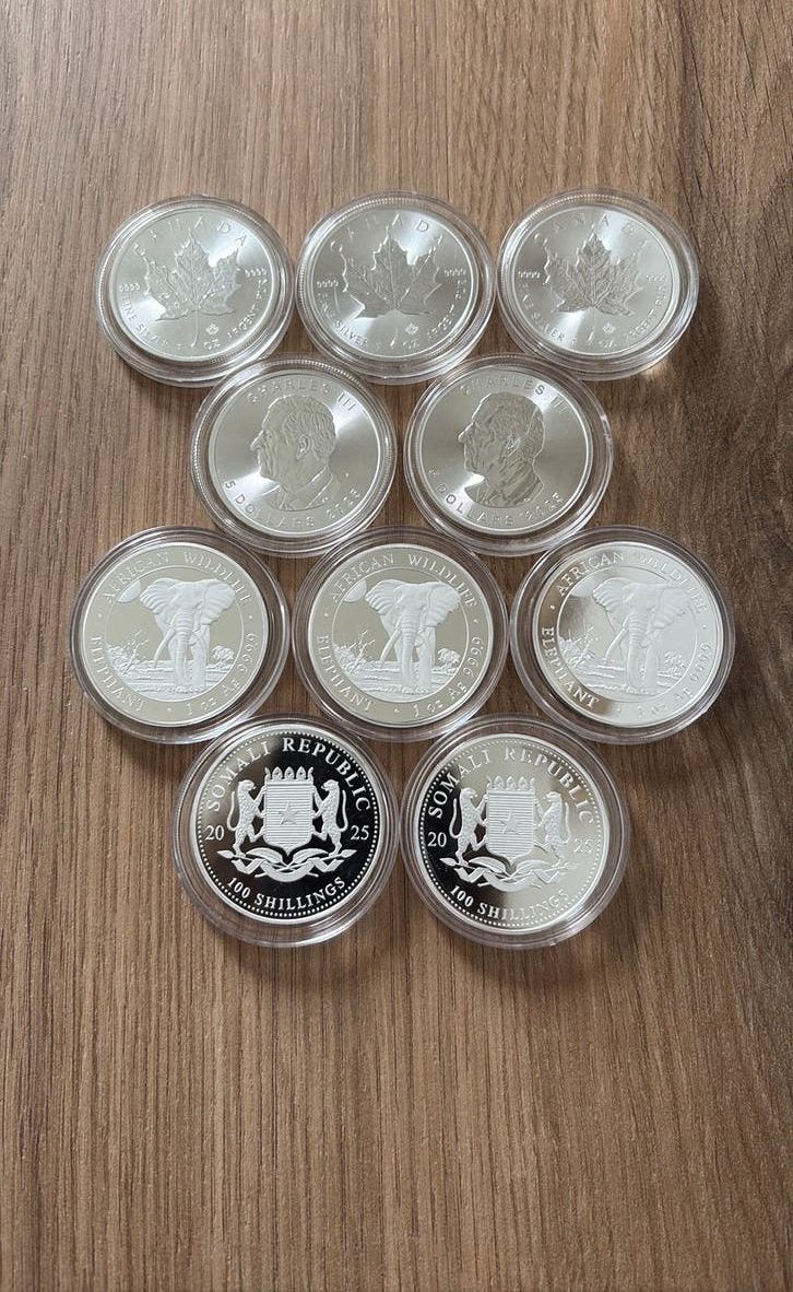 10x 1 ounce zilver (lot 1) maple leaf & elephant, Ophalen of Verzenden, Zilver