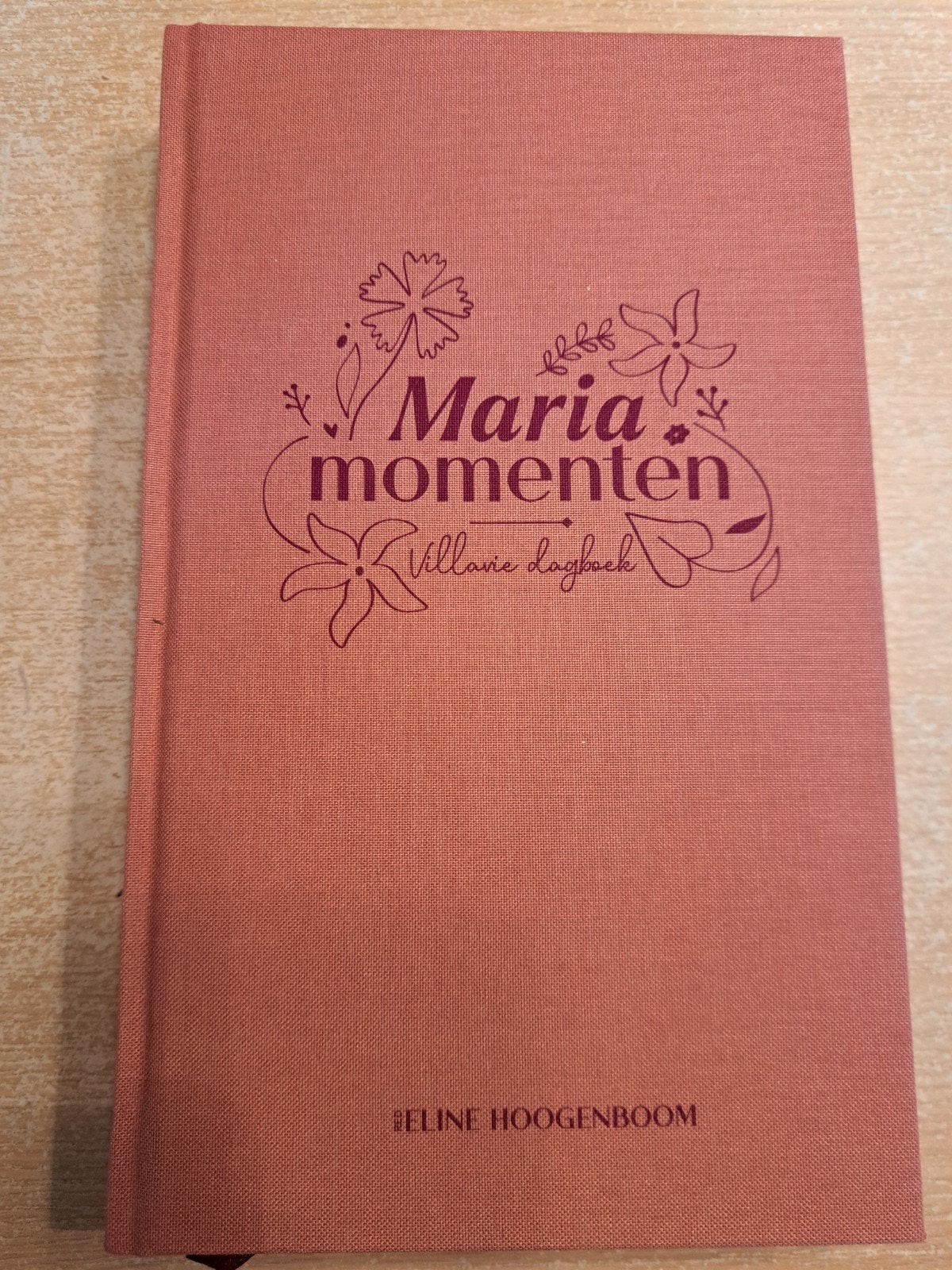 Eline Hoogenboom, Mariamomenten. Als nieuw, ongelezen., Boeken, Eline Hoogenboom, Nieuw, Christendom | Protestants, Ophalen of Verzenden
