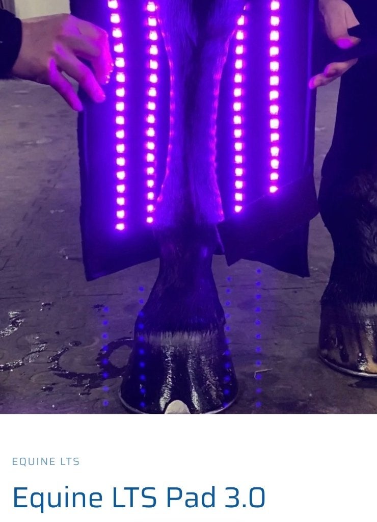 gezocht:Equine LTS 3.0 LED-lichttherapiepad, Dieren en Toebehoren, Overige merken, Ophalen of Verzenden, Zo goed als nieuw, Overige maten