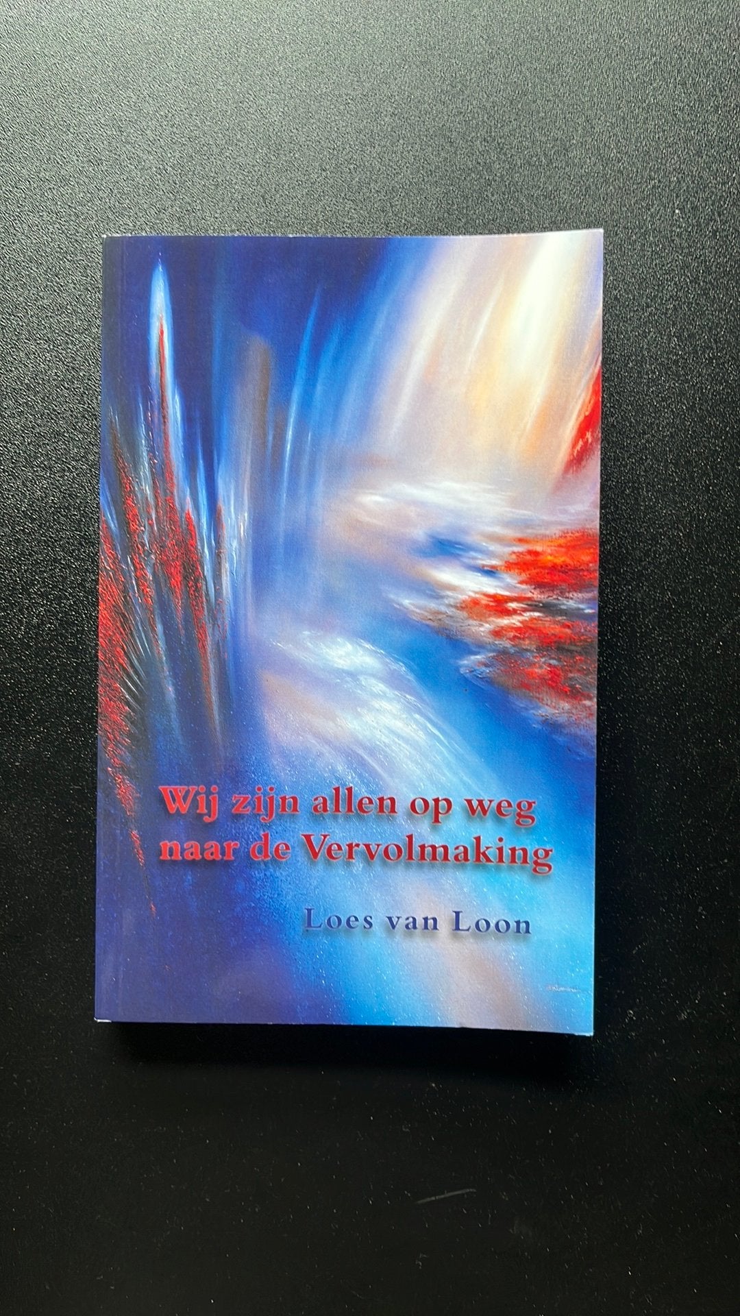 L. van Loon - Wij zijn allen op weg naar de vervolmaking, Boeken, Verzenden, Zo goed als nieuw, L. van Loon
