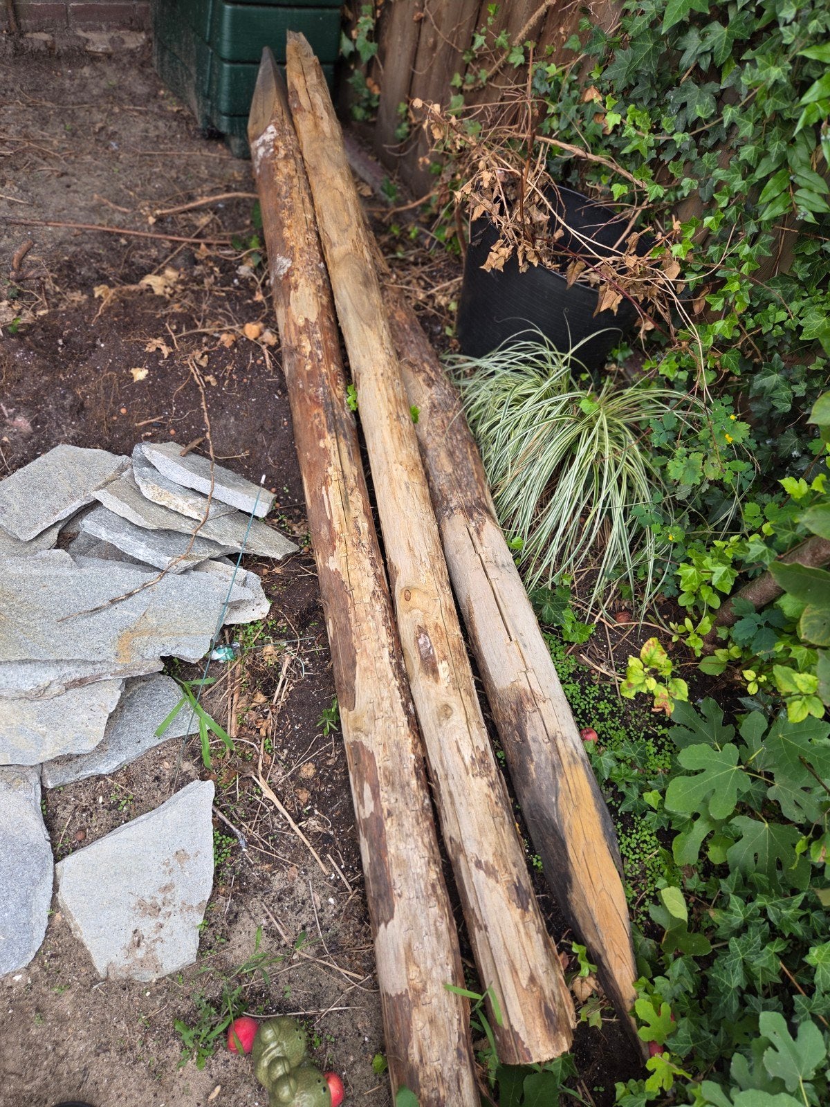 3 kastanjehouten palen, 250cm, Ophalen, Nieuw, 250 cm of meer, Palen