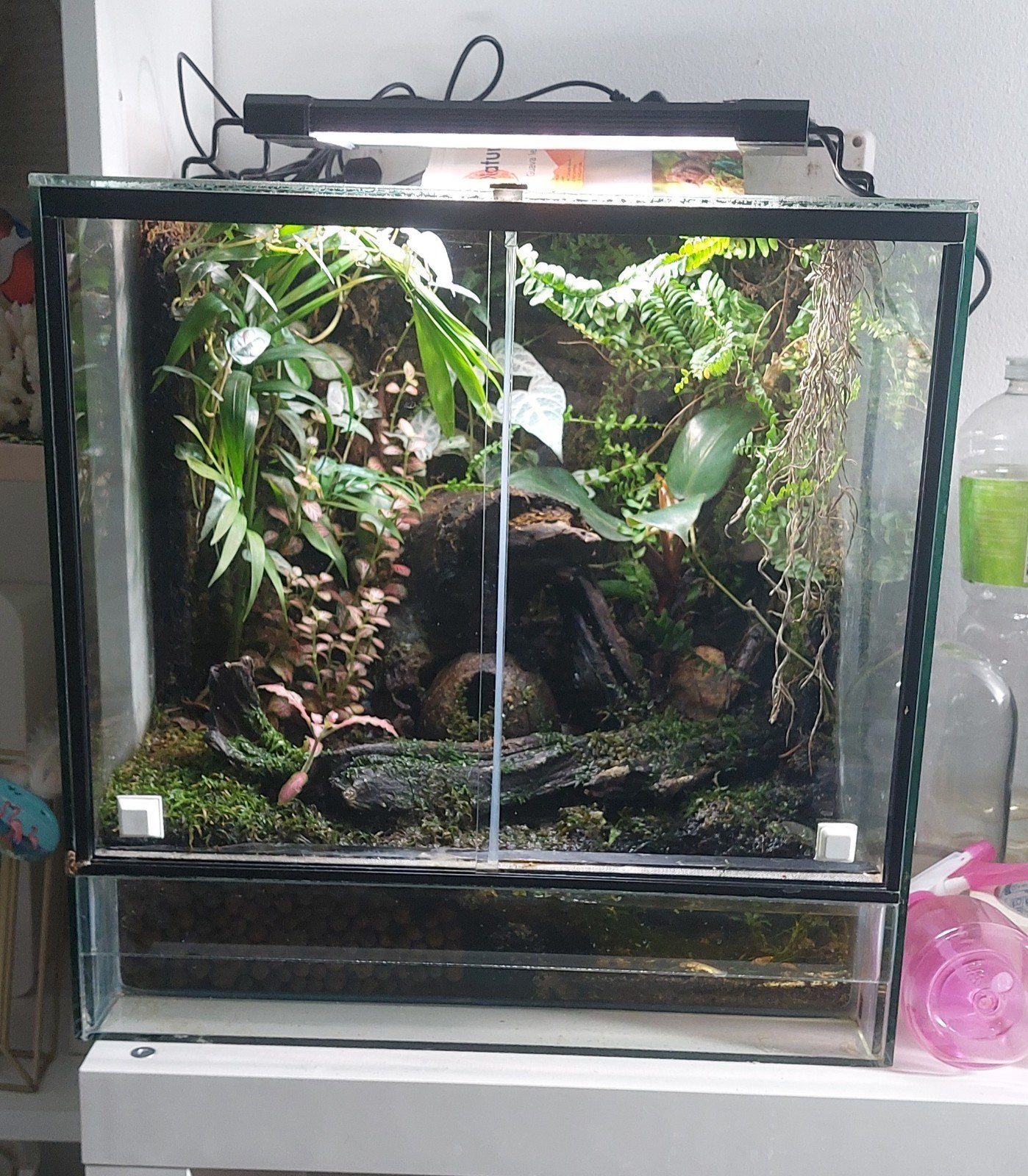 terrarium paludarium, Dieren en Toebehoren, Ophalen