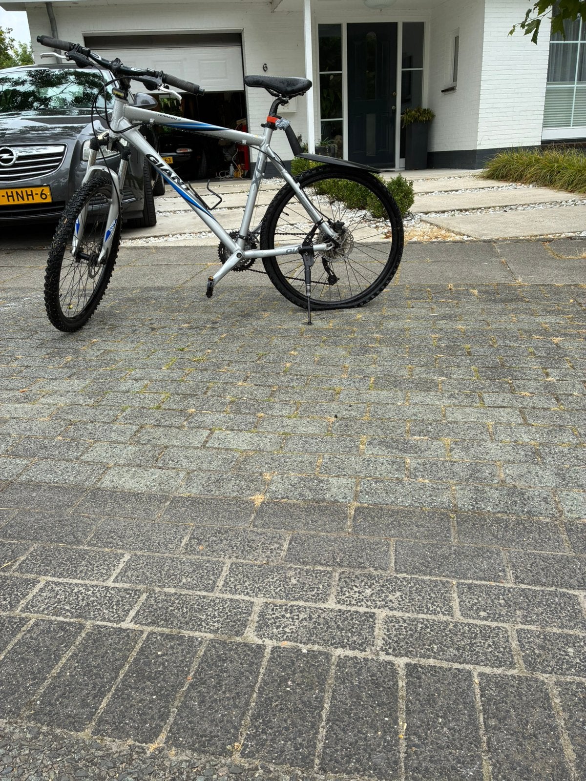 Giant Terrago Disc 3 - 2009, Ophalen, 24 inch of meer, Gebruikt, Aluminium