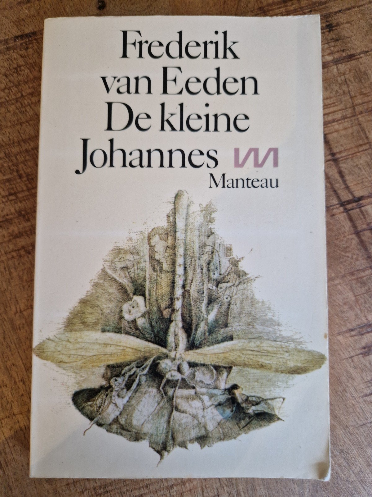 Frederik van Eeden - De kleine Johannes (Manteau), Boeken, Ophalen of Verzenden, Gelezen, Frederik van Eeden, Nederland