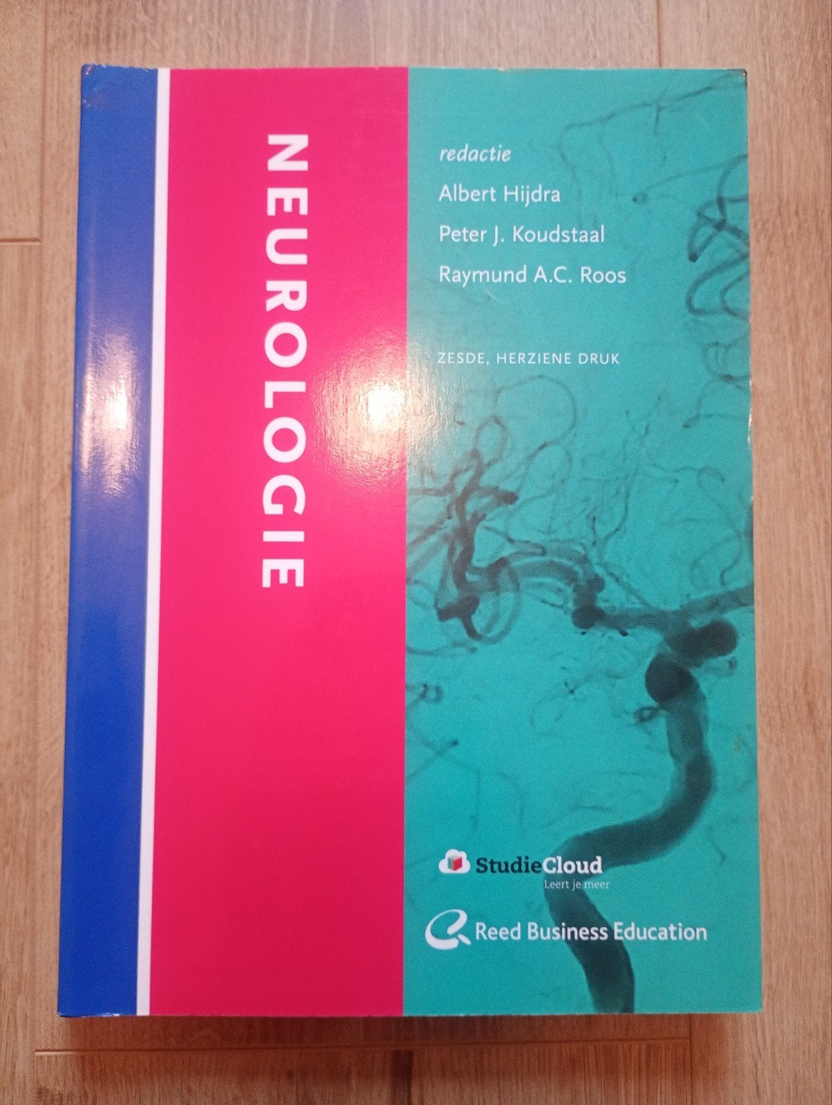 Neurologie - Albert Hijdra Geneeskunde Studieboek, Boeken, Ophalen of Verzenden, Beta, Zo goed als nieuw, WO