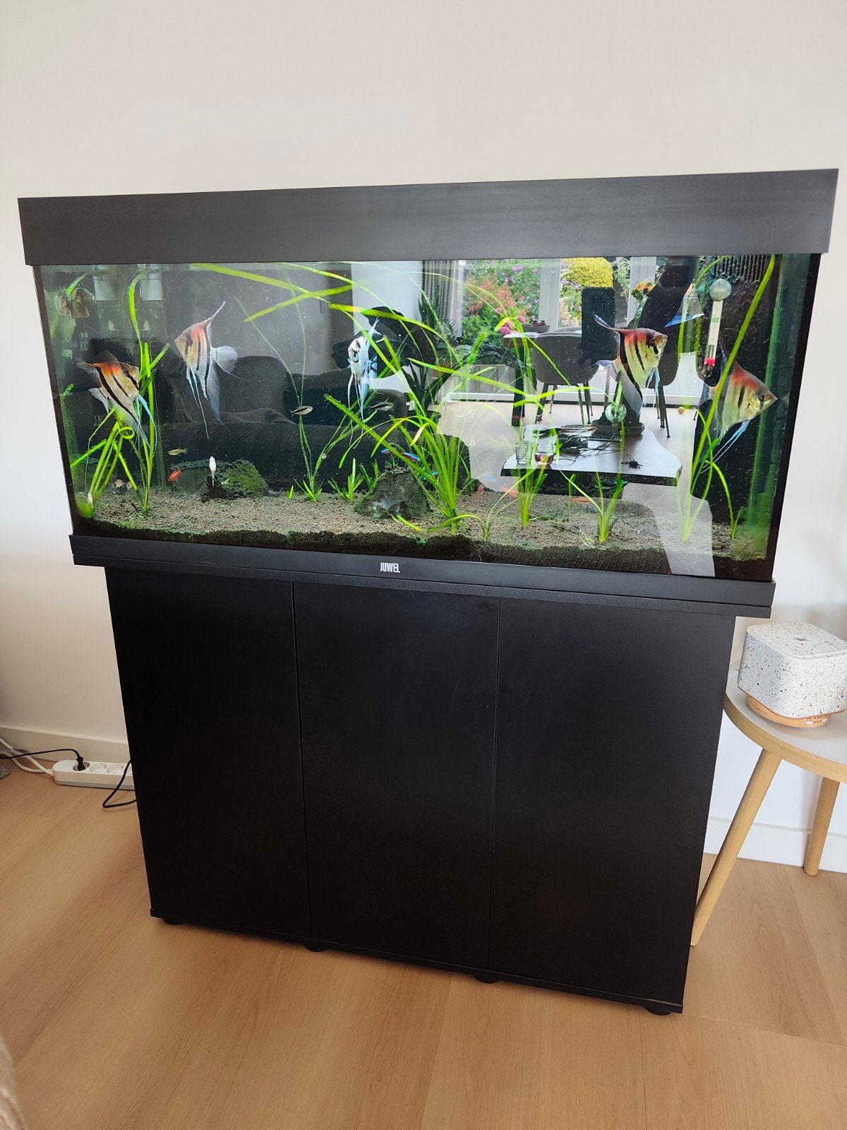 Juwel Rio 180 led aquarium, Ophalen, Gebruikt, Aquariummeubel, Inclusief vissen