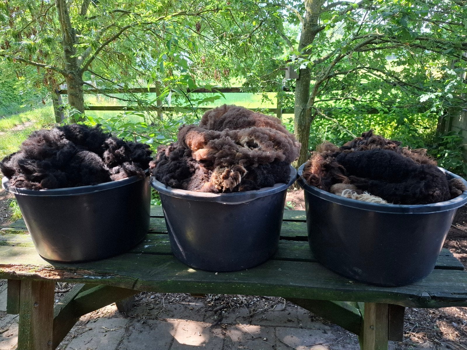 Schapenwol, Dieren en Toebehoren, Meerdere dieren, Schaap