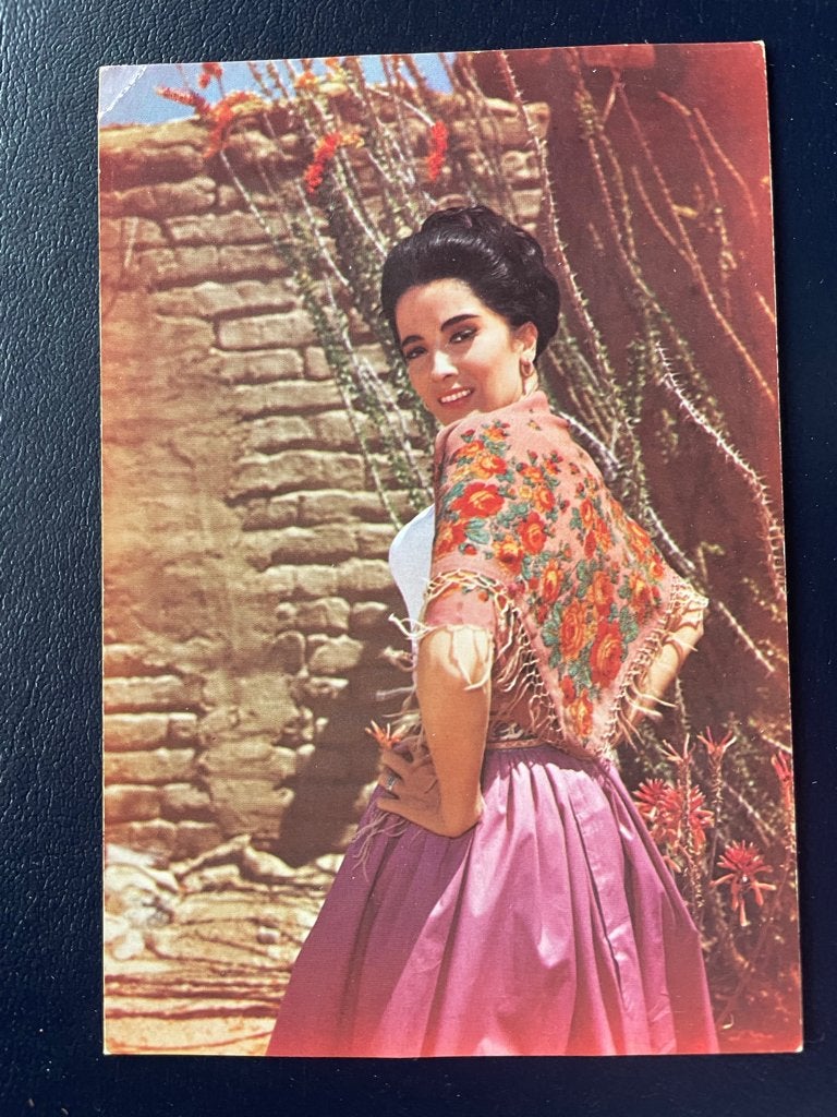 ansichtkaart / kaart van High Chaparral / Victoria Cannon, Verzenden, 1960 tot 1980, Sterren en Beroemdheden