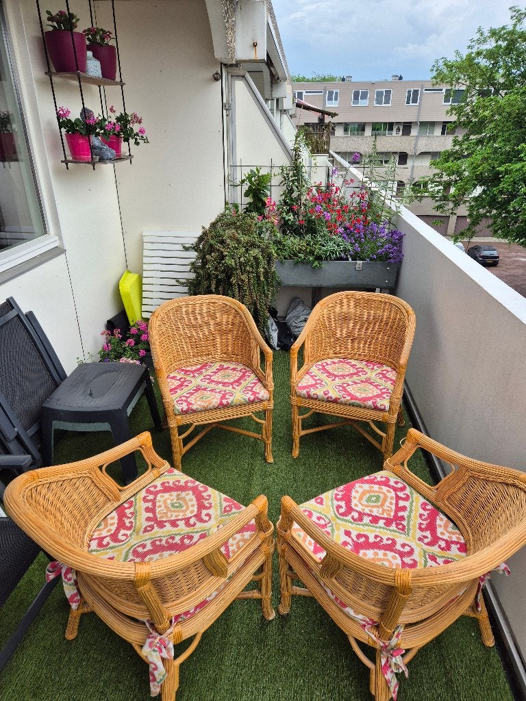 Rotan eetkamer stoelen, Huis en Inrichting, Ophalen, Gebruikt, Bruin, Stof