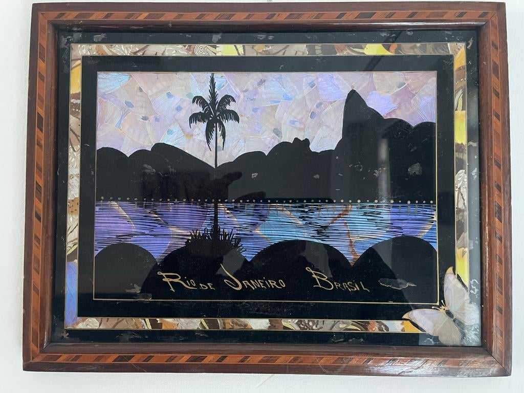 Uniek Vlinderschilderij Rio de Janeiro Brazilië, Antiek en Kunst, Kunst | Overige Kunst, Ophalen