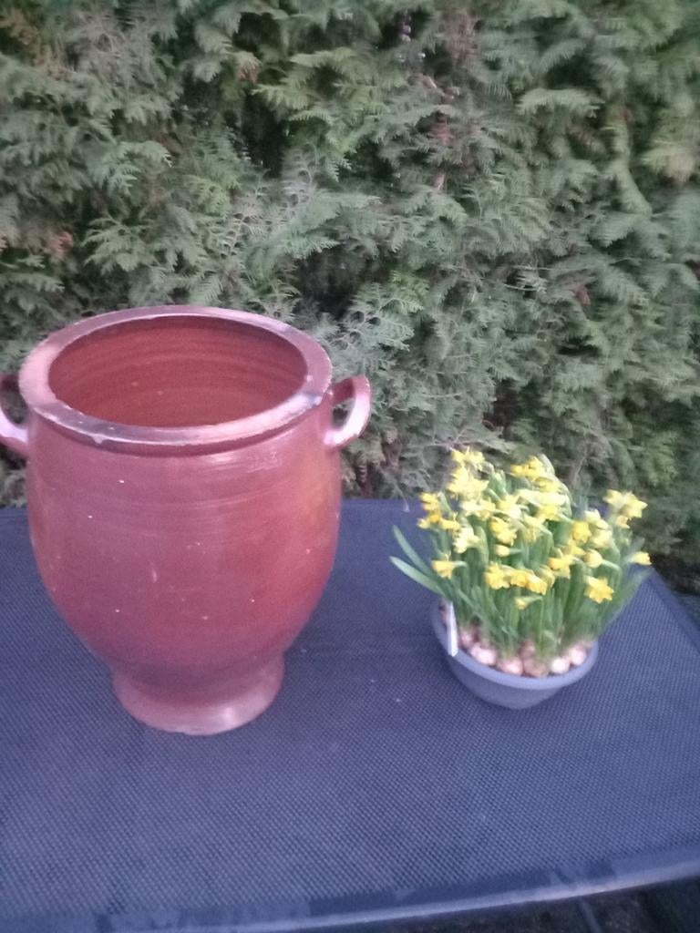 Mega grote bruine Keulse pot, Ophalen, 40 cm of meer, Rond, Aardewerk