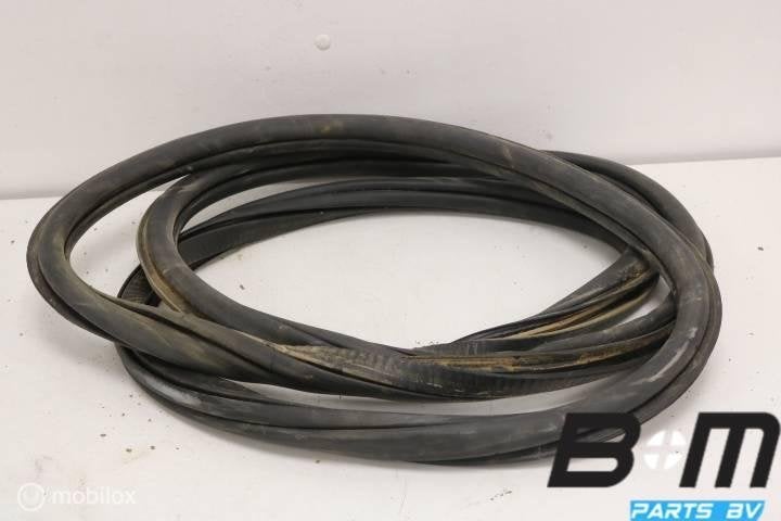Portierrubber rechtsvoor Seat Mii 1S4867912C, Gebruikt