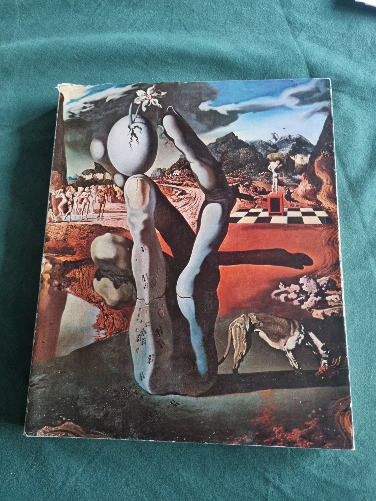 Expositie Dali Museum Boymans-van Beuningen Rotterdam 1970, Ophalen of Verzenden, Gelezen